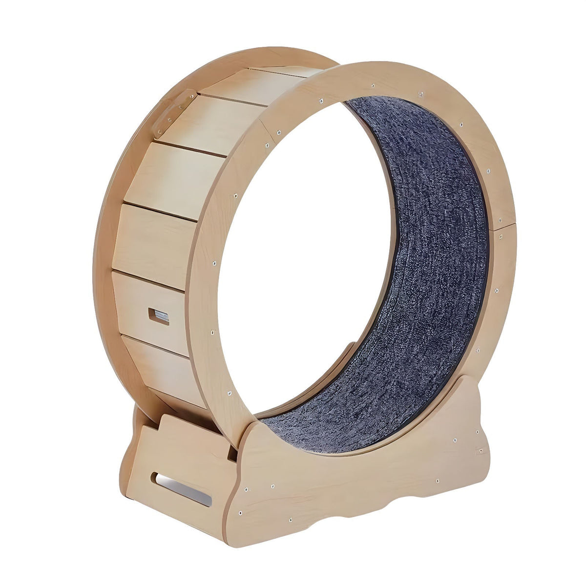 Pet exercise wheel with blue cushioned interior on a white background