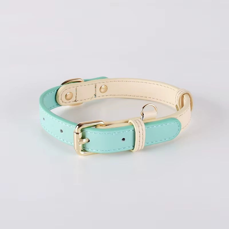 Turquoise dog collar with gold hardware on a light gray background