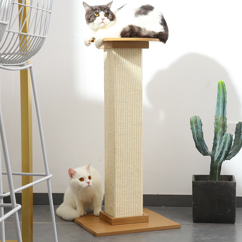 The Roman Column Scratching Plinth | House of Terra