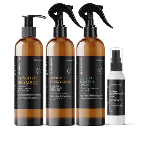 The Dermal Equilibrium Suite | House of Cura
