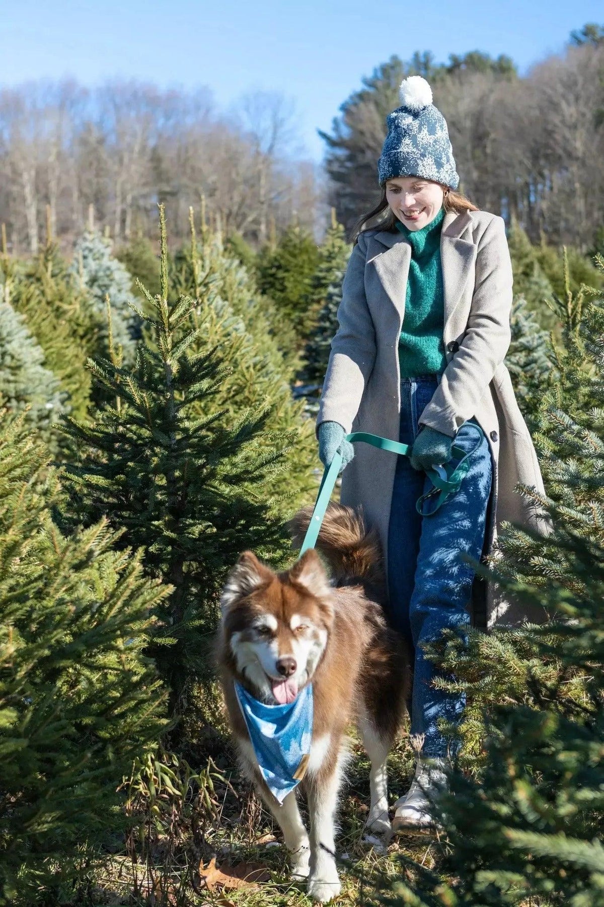 Woman walking a dog in a Christmas tree farm