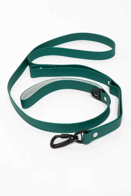 A green dog leash with a black carabiner clip and silver metal rivets, coiled on a white background.