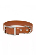 A tan leather dog collar with a silver-tone metal buckle, D-ring, and rivets, displayed on a clean white background.
