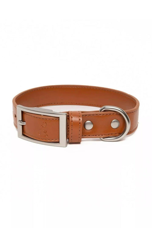 A tan leather dog collar with a silver-tone metal buckle, D-ring, and rivets, displayed on a clean white background.