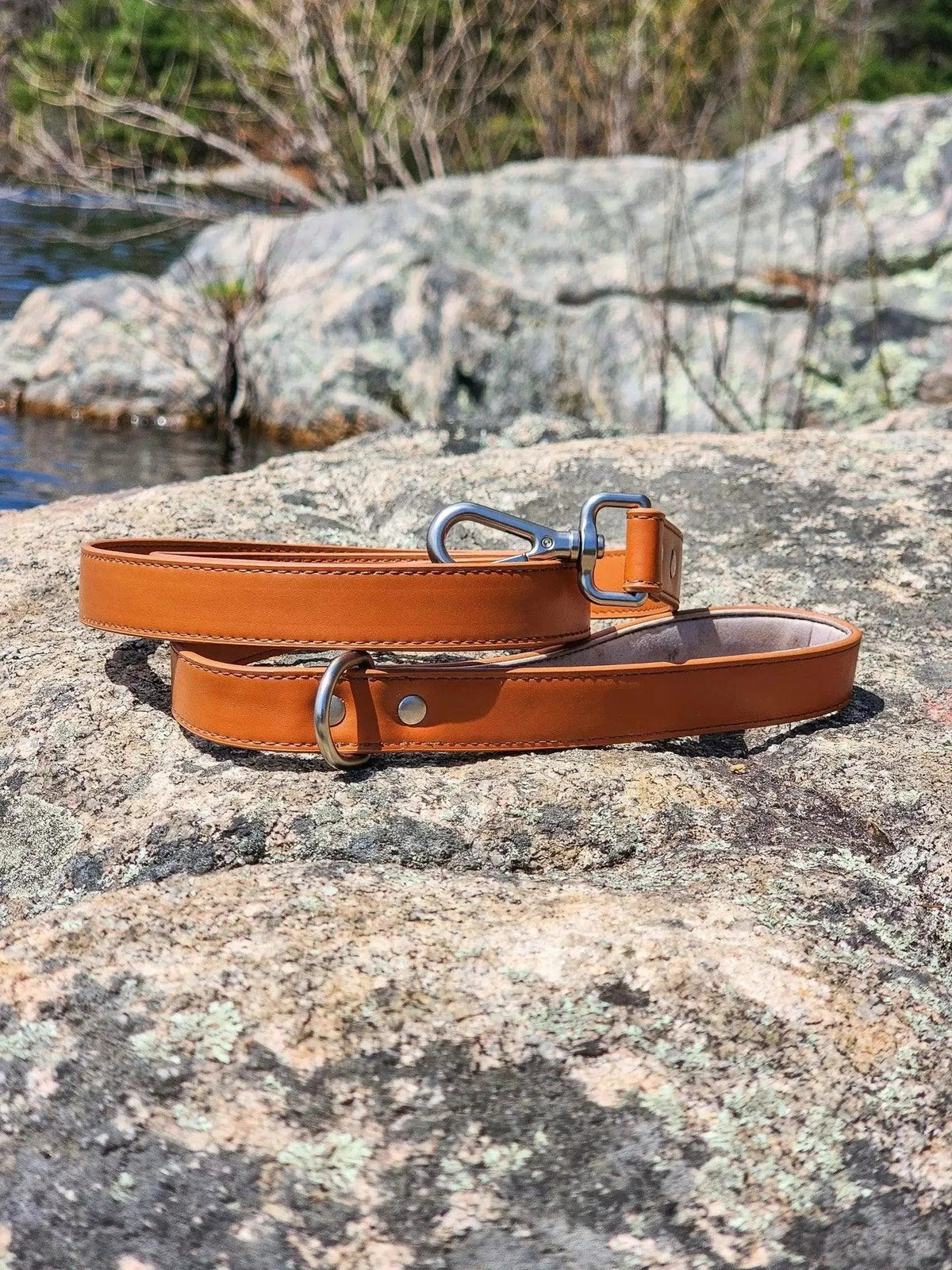 Brown leather dog collar on a rocky surface with water and trees in the background
