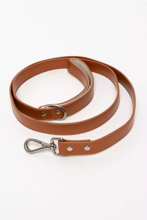 Brown leather dog leash with metal clip on a white background