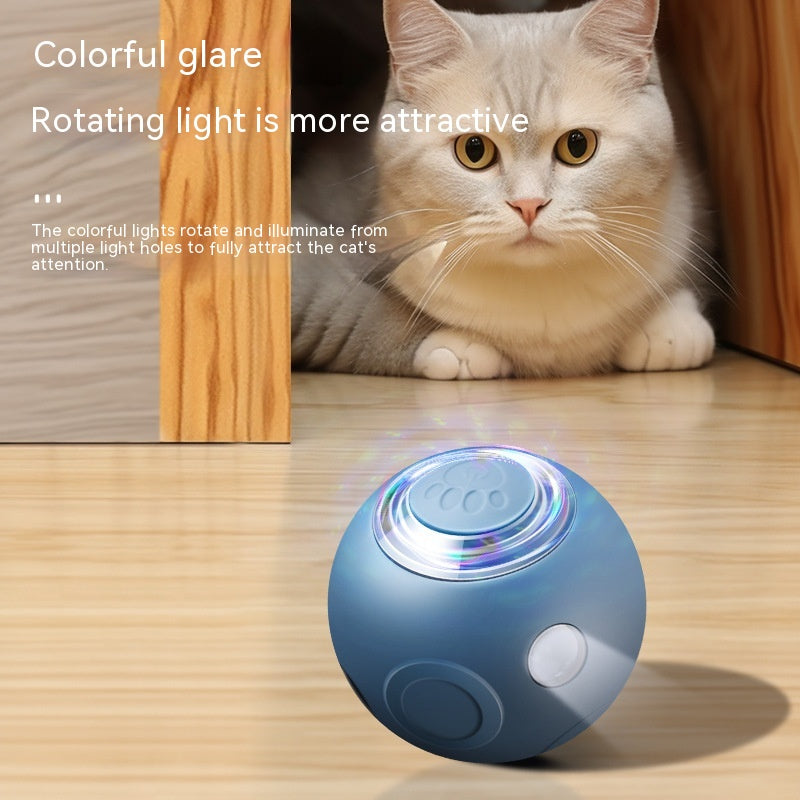 Cat playing with a blue LED ball toy on a wooden floor.