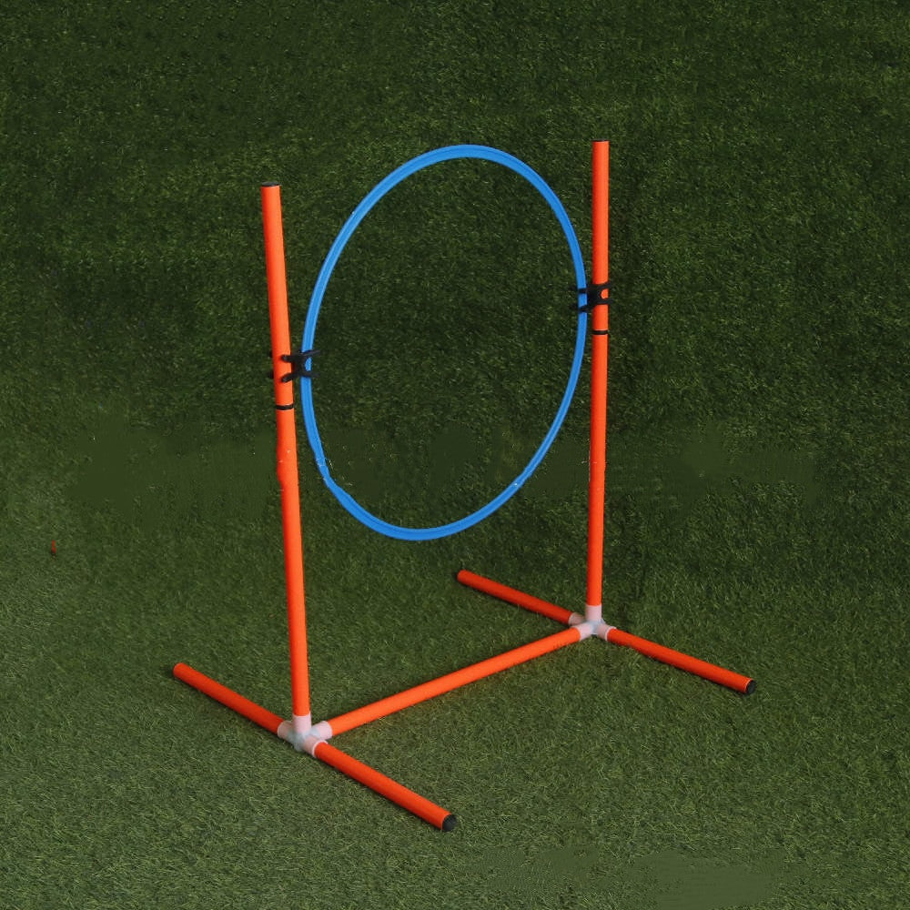 Suspended hoop for the obstacle course