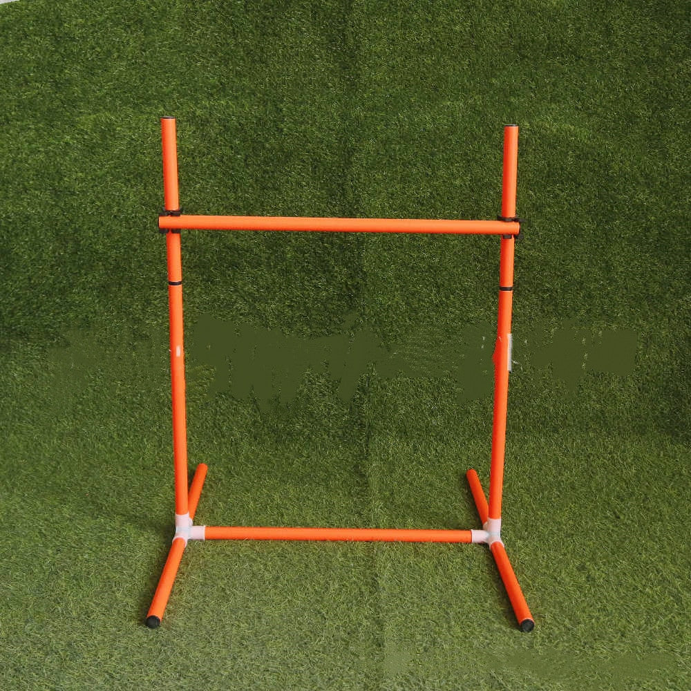Hurdle for the course