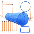 Dog agility training equipment including a tunnel, hoop, and weave poles on a white background.