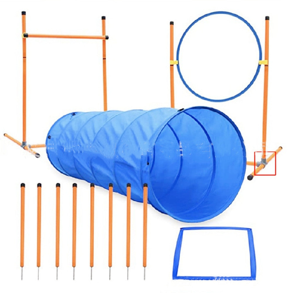 Dog agility training equipment including a tunnel, hoop, and weave poles on a white background.