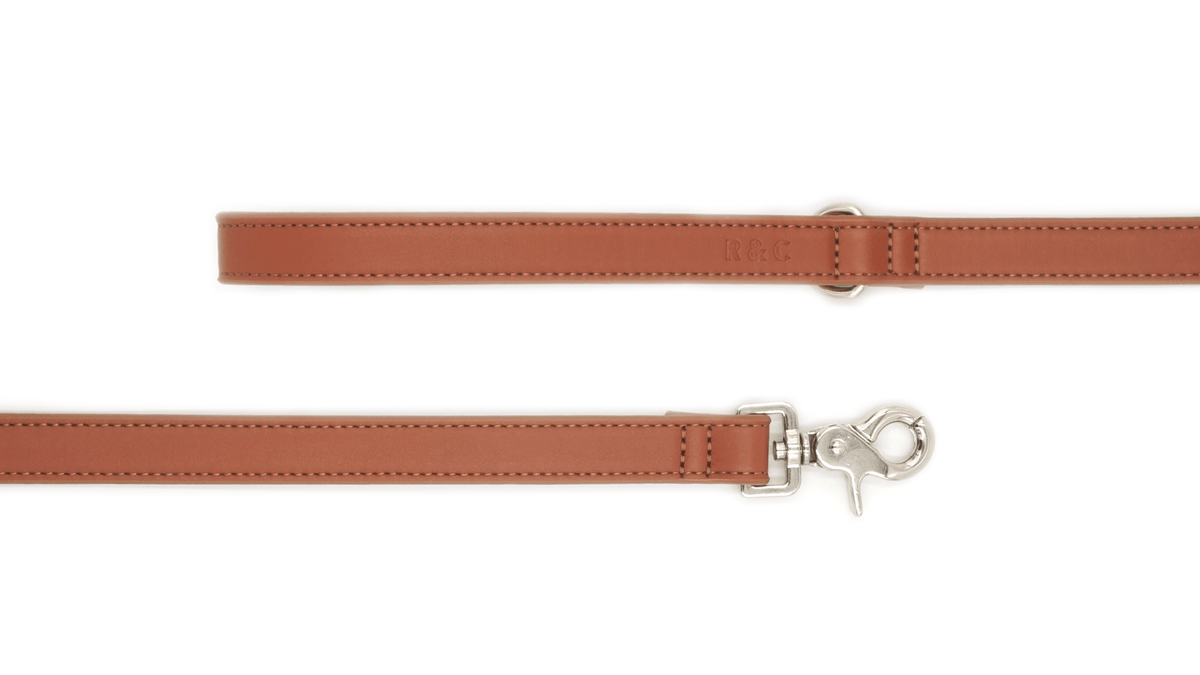 Brown leather strap with silver clasp on a white background
