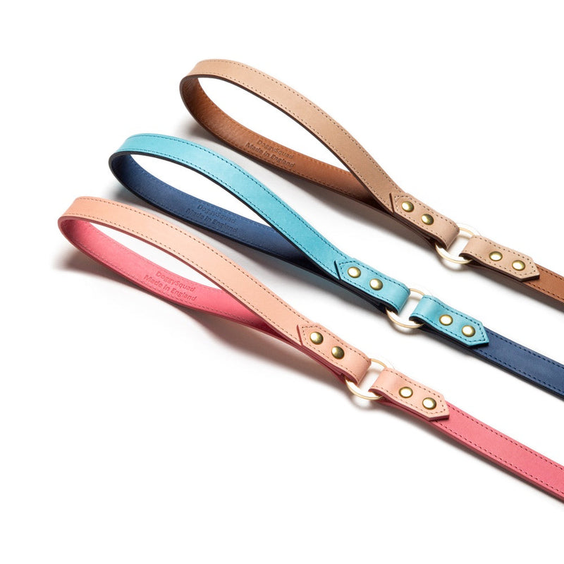 Three colorful dog leashes on a white background