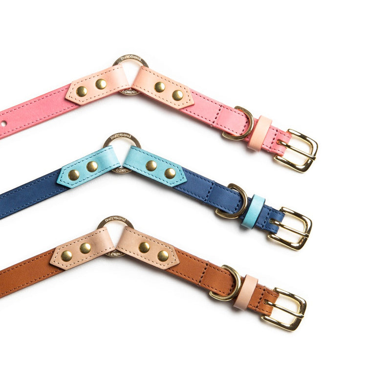 Three colorful dog collars (pink, blue, and brown) with gold buckles on a white background.