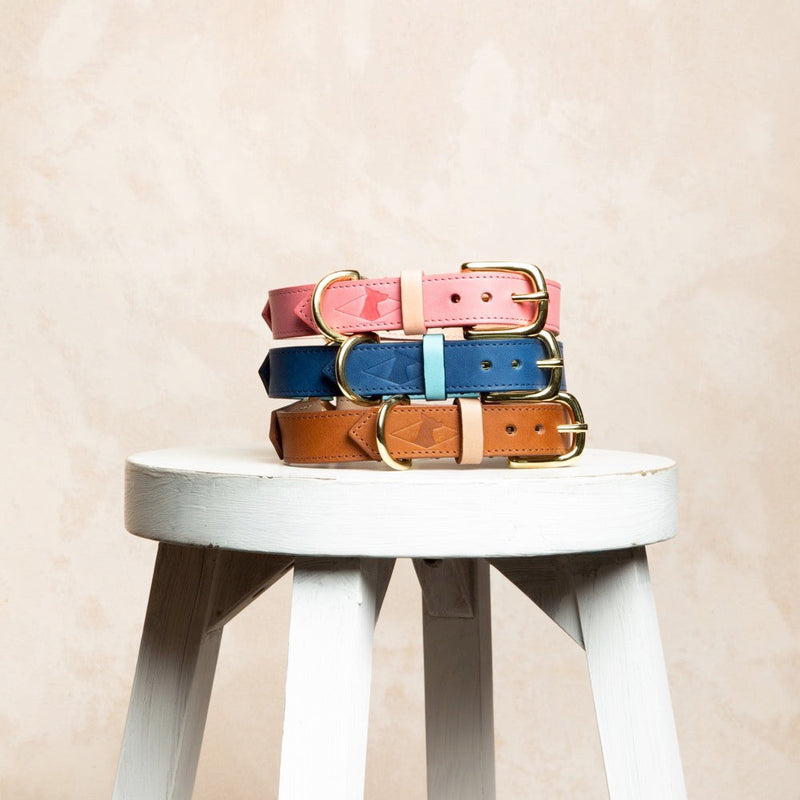 Stack of colorful leather dog collars on a white stool against a beige background