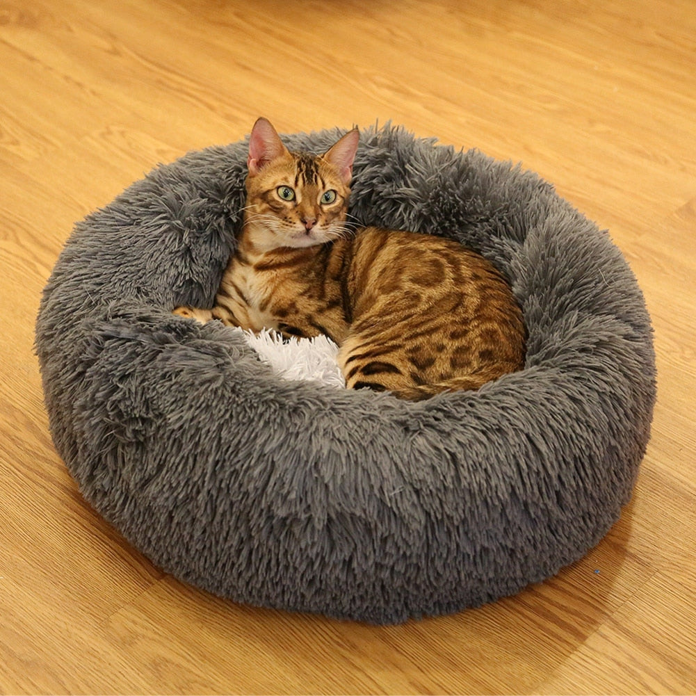 A gray cat lies inside a round, fluffy gray pet bed in a pink bedroom setting.