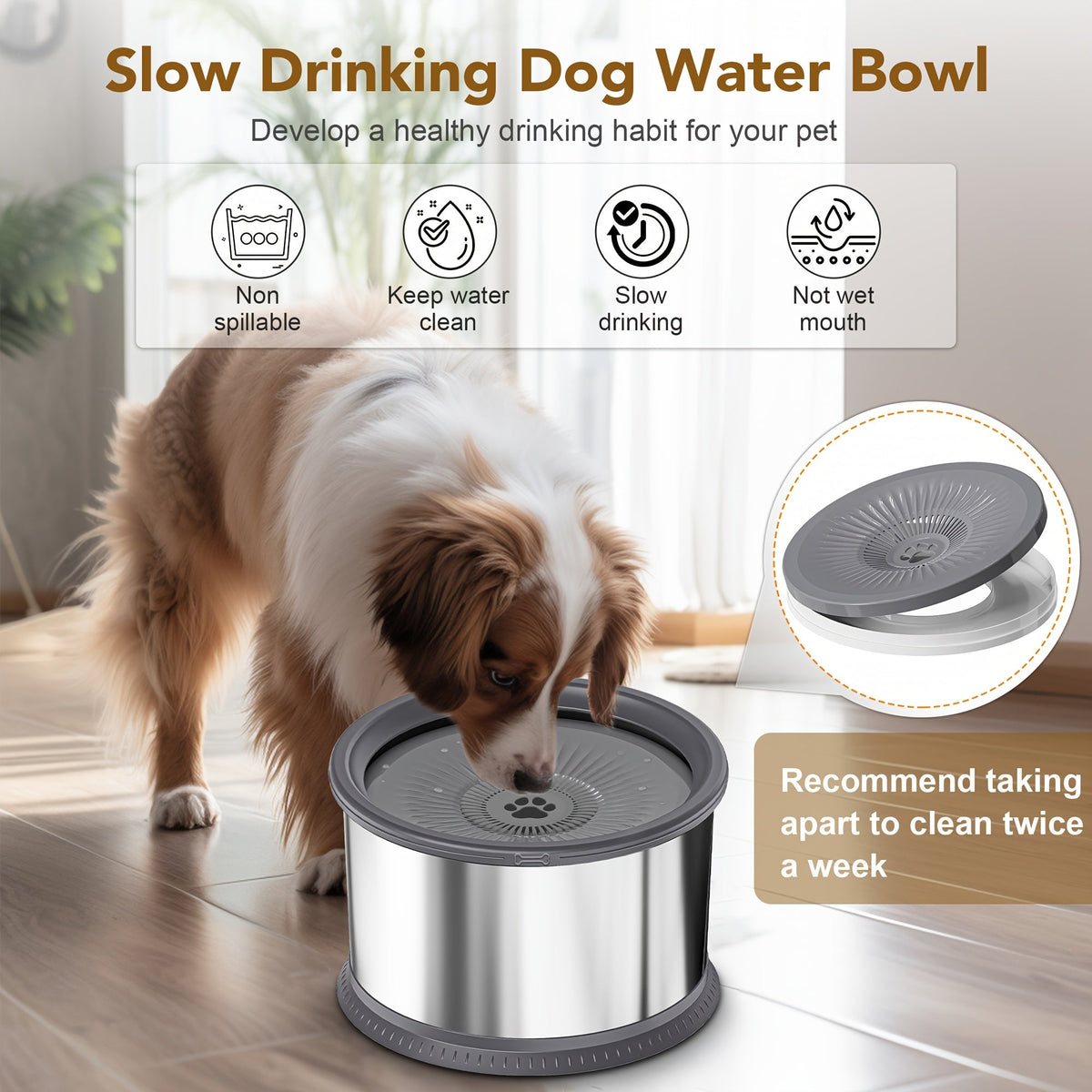 Dog drinking from a slow drinking dog water bowl with product features highlighted.
