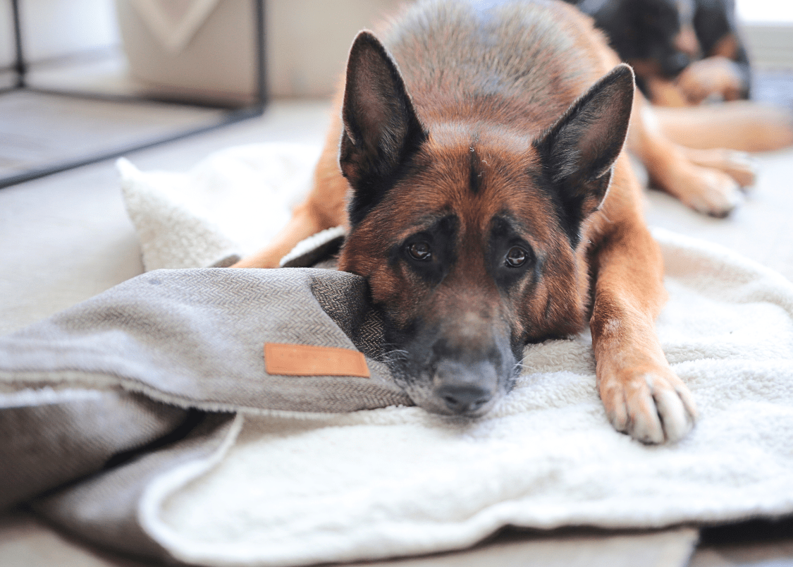 The Lincoln Luxury Reversible Tweed & Faux Fur Blanket | House of Terra