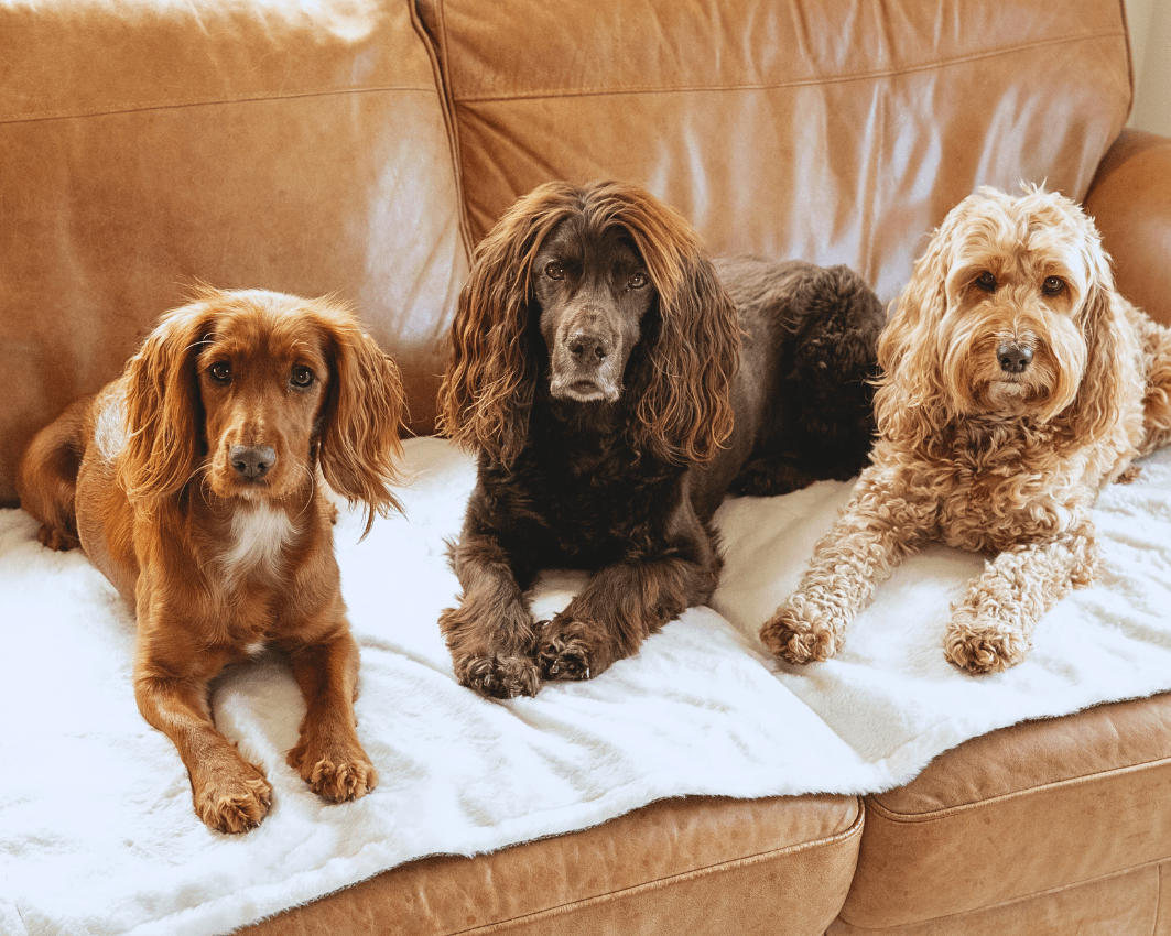 The Lincoln Luxury Reversible Tweed & Faux Fur Blanket | House of Terra