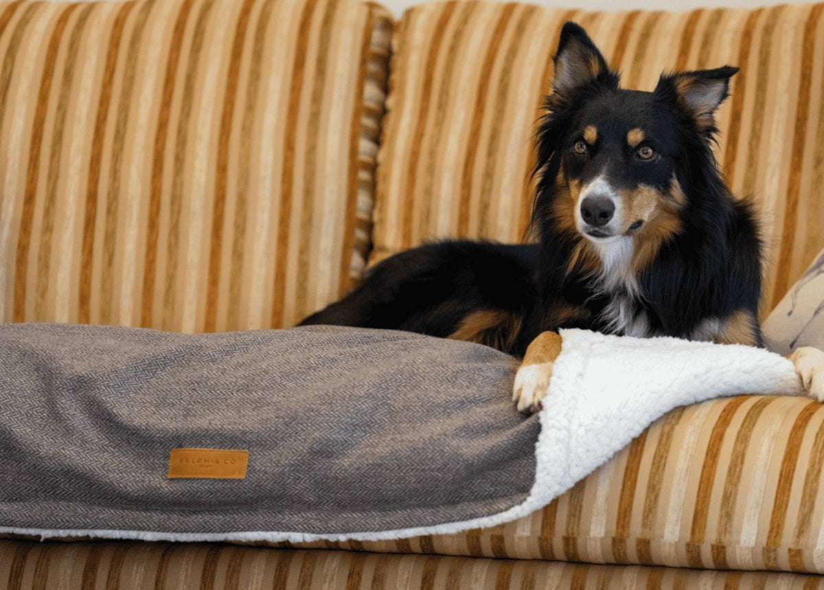 The Lincoln Luxury Reversible Tweed & Faux Fur Blanket | House of Terra