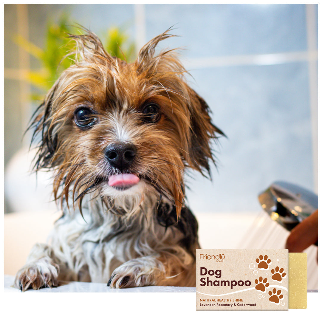 The Lavender, Rosemary & Cedarwood Dog Shampoo Bar | House of Cura