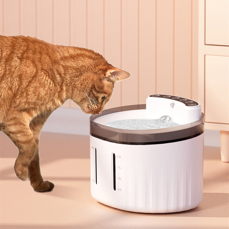 The Automated Water Sanctuary | House of Intel
