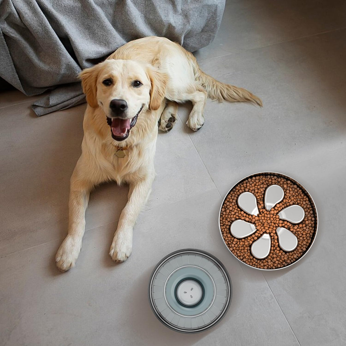 The Feedoo Stainless Slow Feeder System (2-Pack) | House of Play