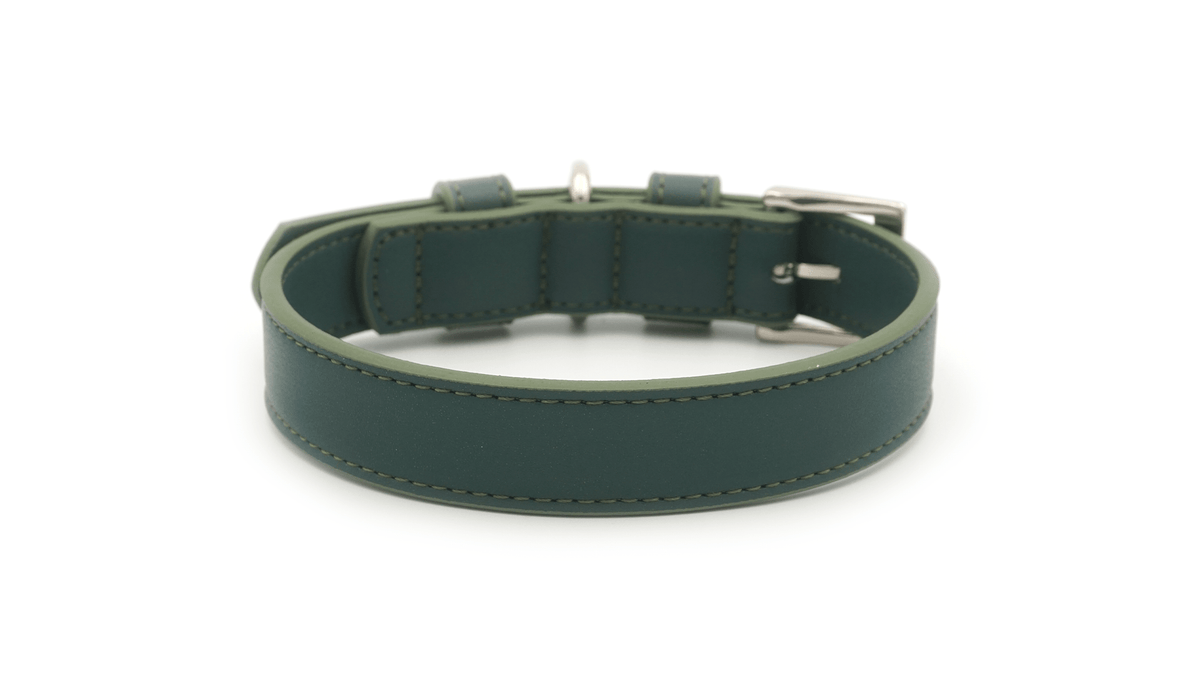 The Lignify Green Bio-Leather Collar | House of Terra