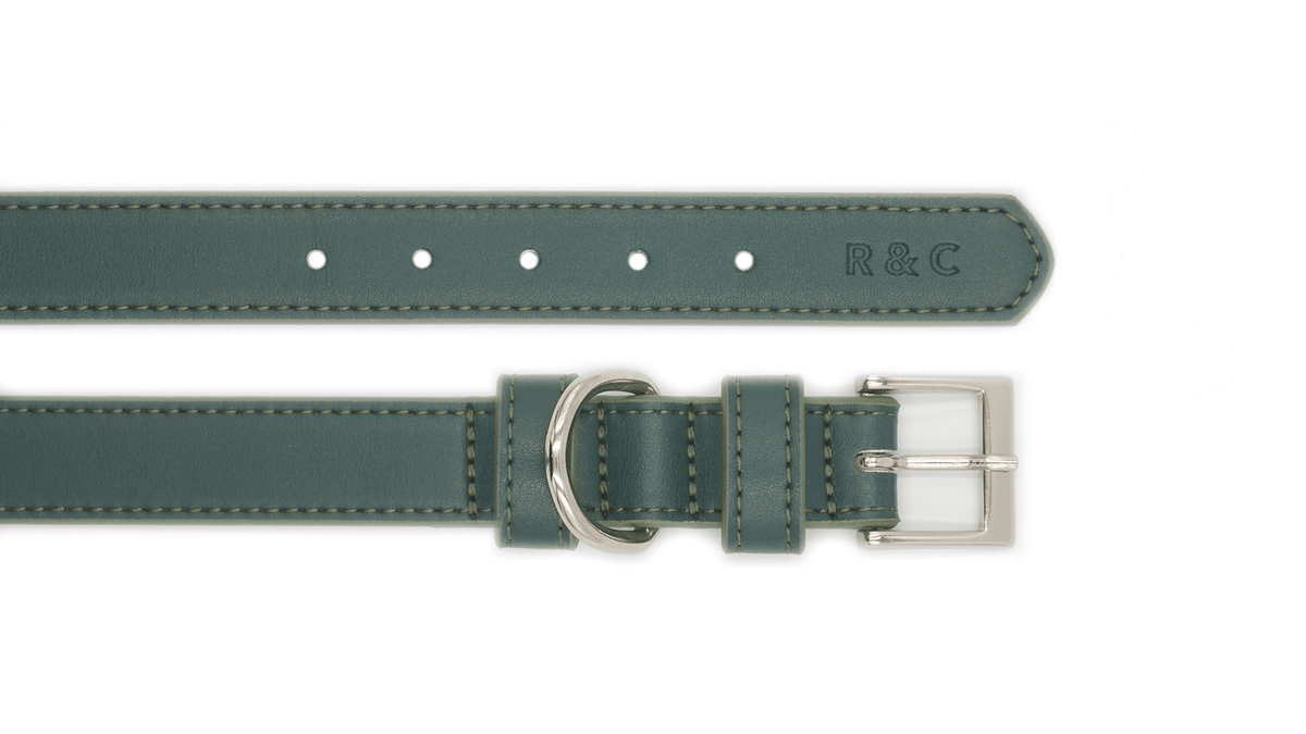 The Lignify Green Bio-Leather Collar | House of Terra