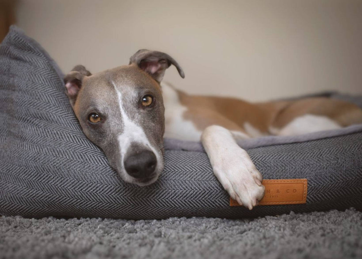 The Balmoral Luxury Herringbone Bolster Nest Bed | House of Terra