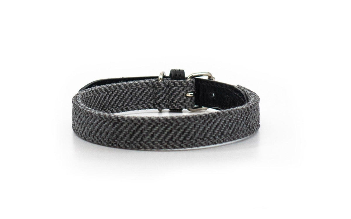 The Balmoral Collar | House of Terra