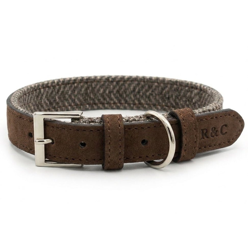 The Lincoln Collar | House of Terra