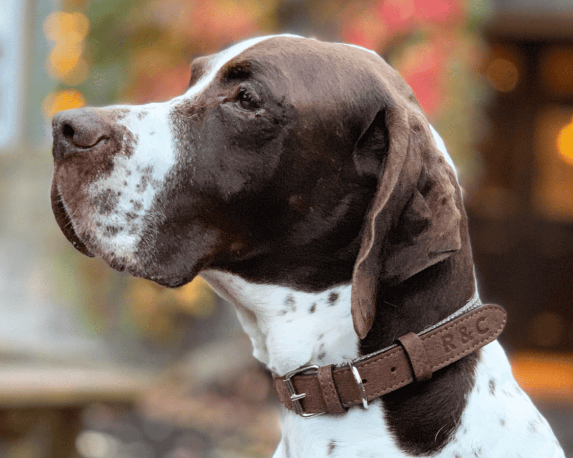 The Lincoln Collar | House of Terra