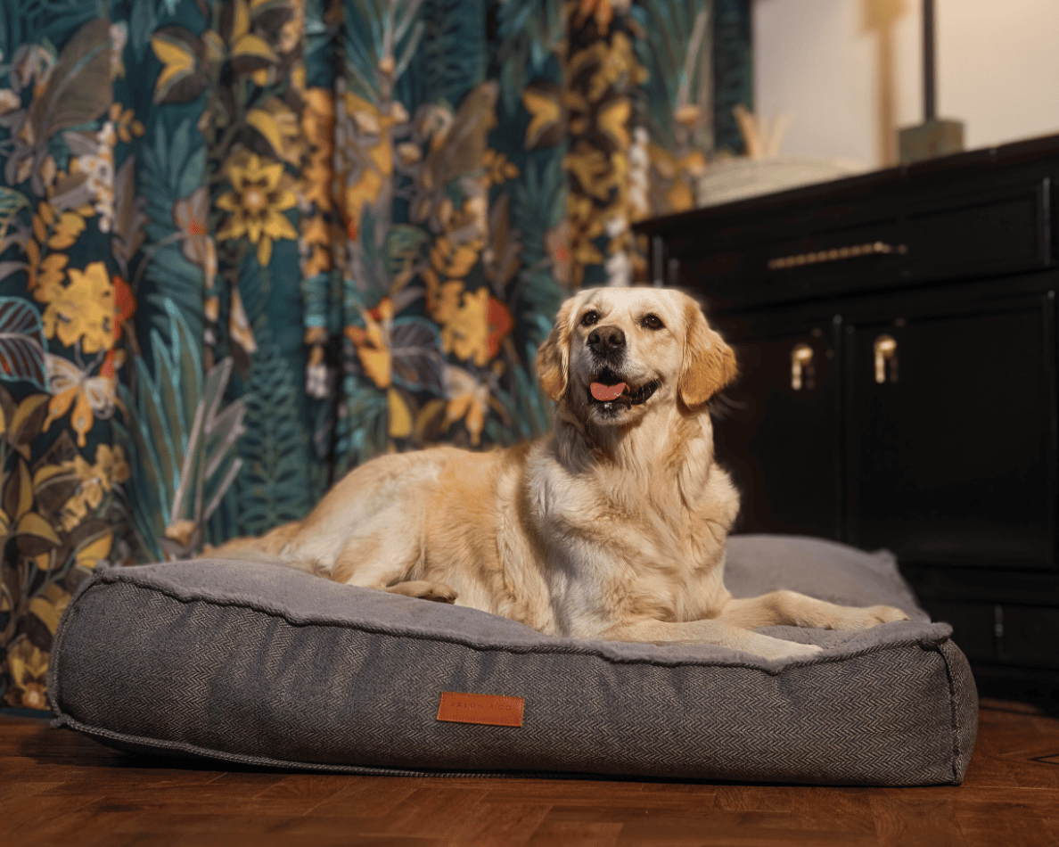 The Balmoral Pillow Bed | House of Terra