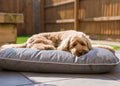The Grey Orthopaedic Crate Mattress | House of Terra