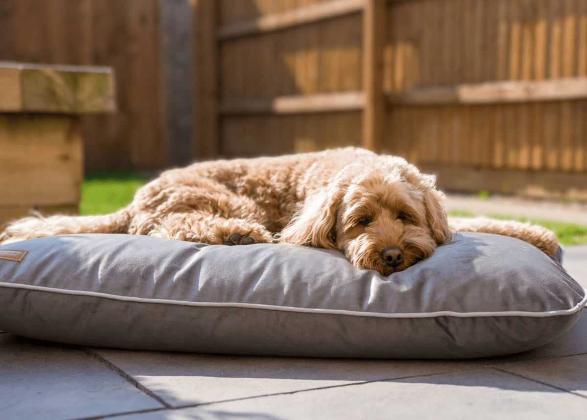 The Grey Orthopaedic Crate Mattress | House of Terra