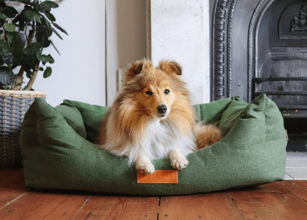 The Richmond Nest Bed | House of Terra