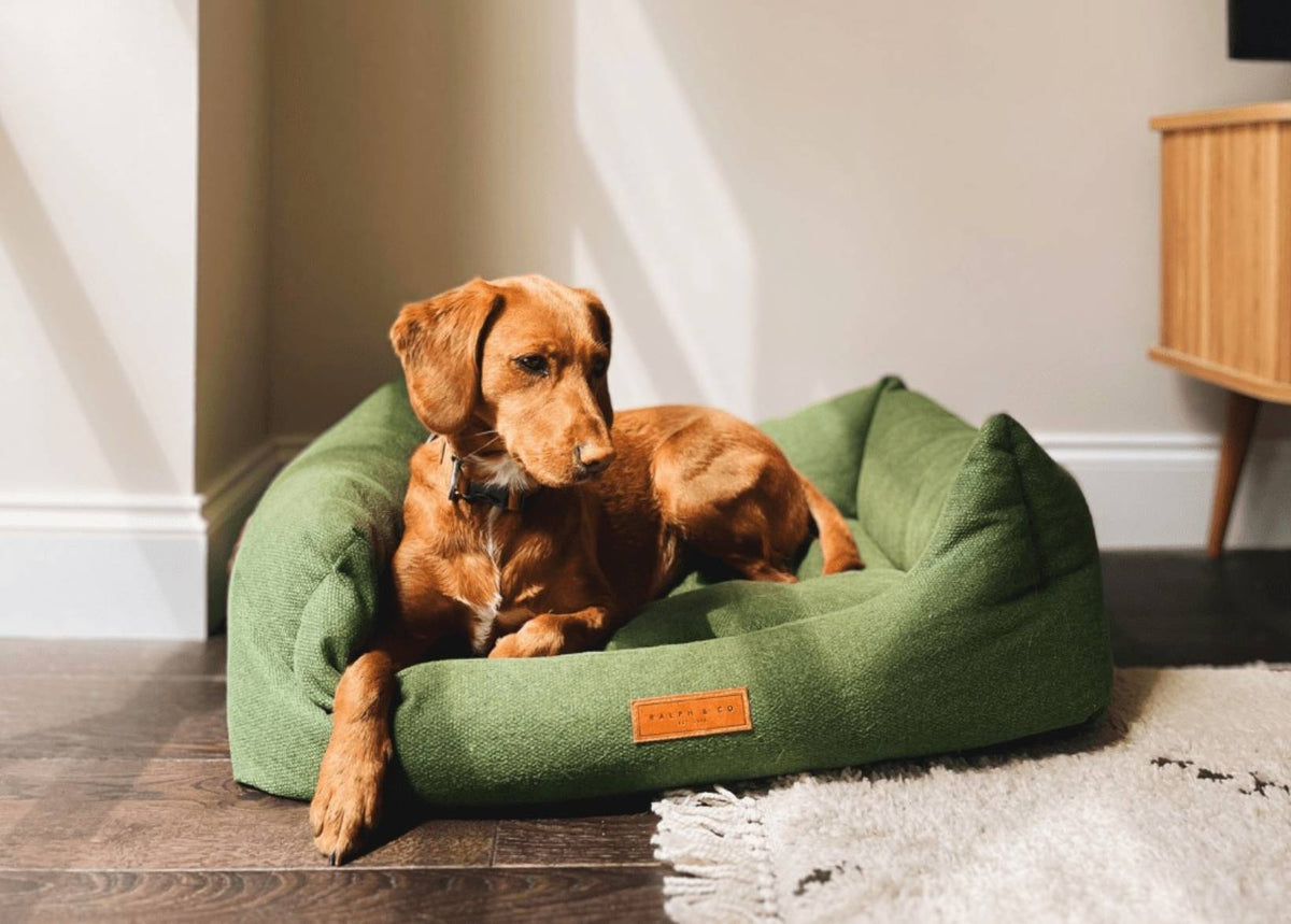 The Richmond Nest Bed | House of Terra
