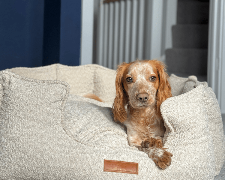 The Cotswold Bed | House of Terra