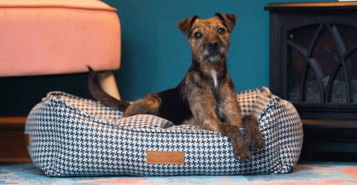 The Kensington Luxury Houndstooth Bolster Nest Bed | House of Terra
