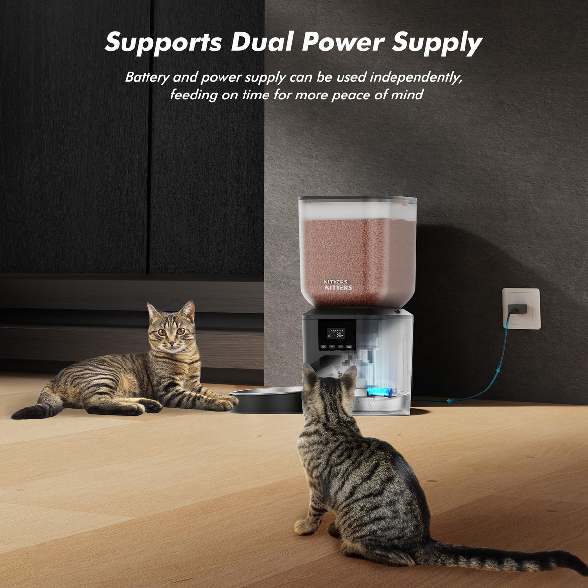 The Nityers 8L Dual-Tray Automatic Cat Feeder | House of Intel