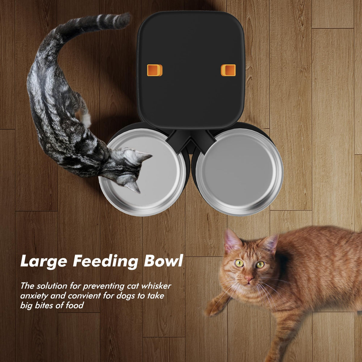 The Nityers 8L Dual-Tray Automatic Cat Feeder | House of Intel