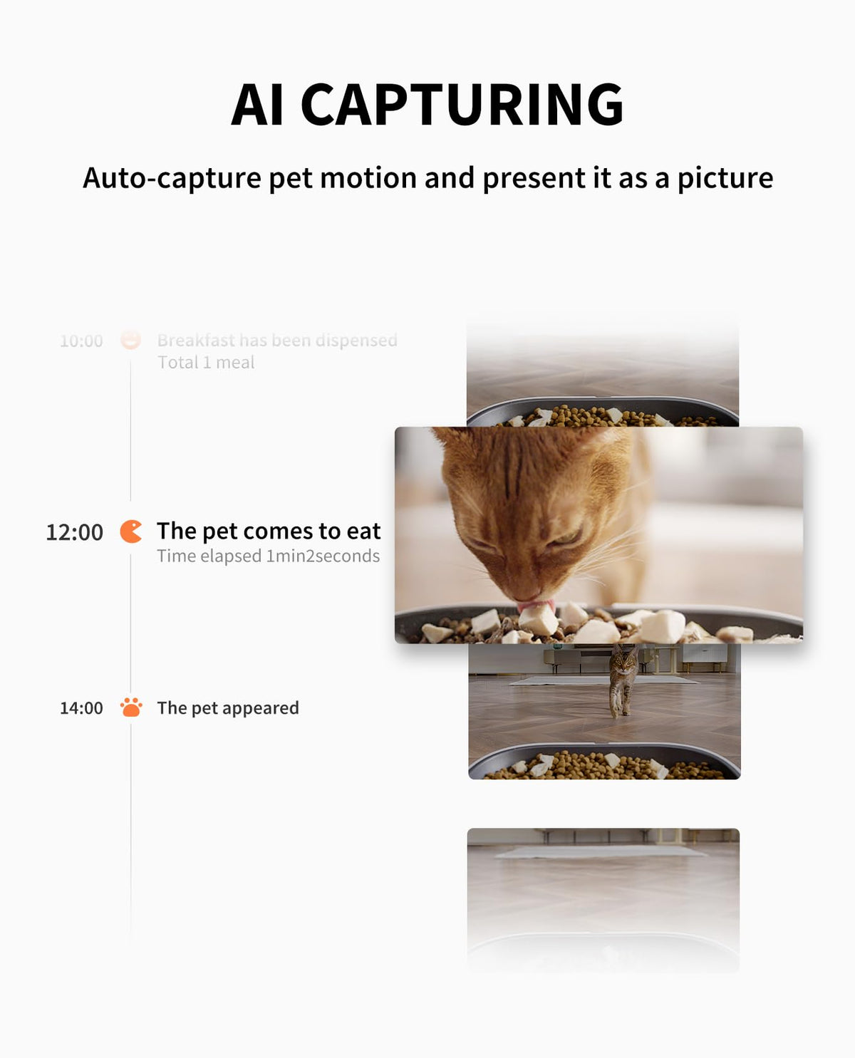 The PETKIT Yumshare Dual-Hopper Camera Feeder | House of Intel