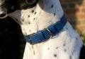 The Royal Blue Lignify Collar | House of Terra