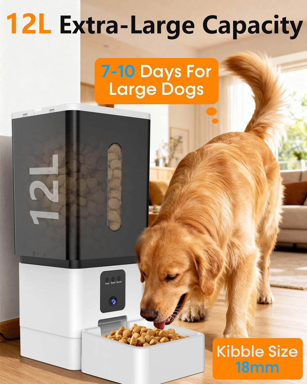 The UTCG 12L Large-Breed Smart Camera Feeder | House of Intel