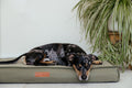 The Henley Pillow | House of Terra