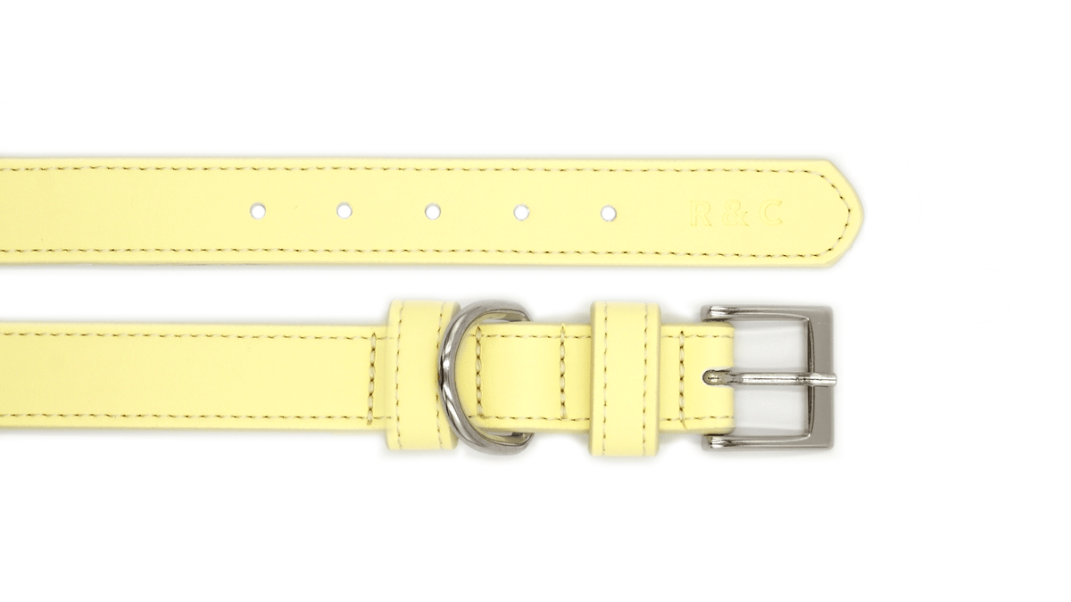 The Yellow Lignify Collar | House of Terra