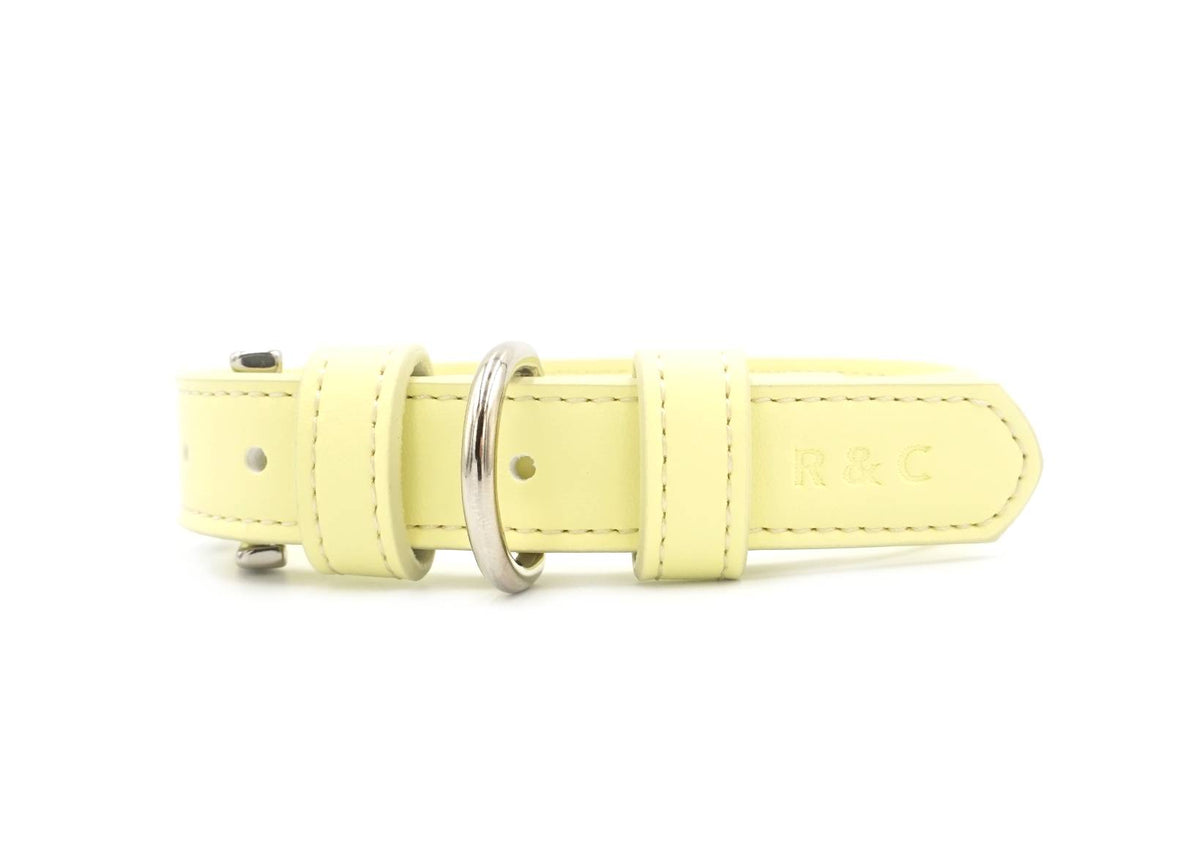 The Yellow Lignify Collar | House of Terra