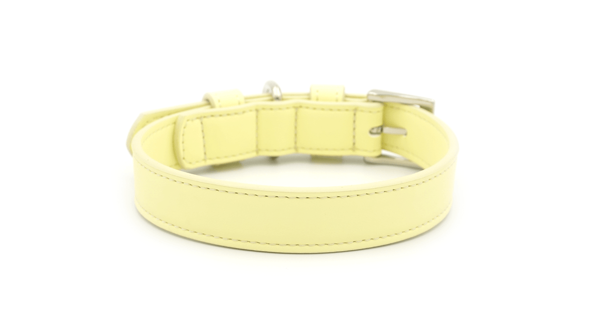 The Yellow Lignify Collar | House of Terra